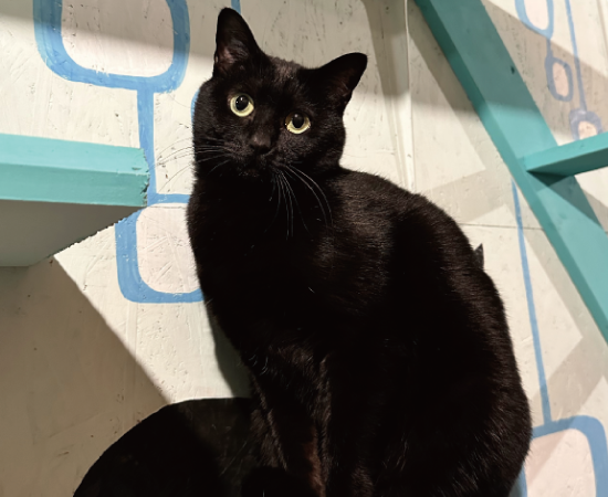 メインフロアー