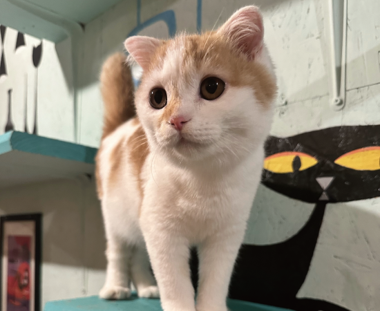 メインフロアー